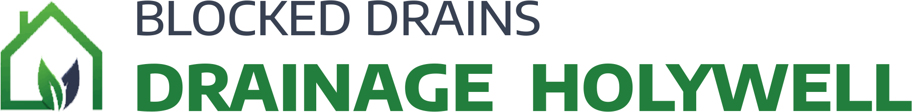 website logo